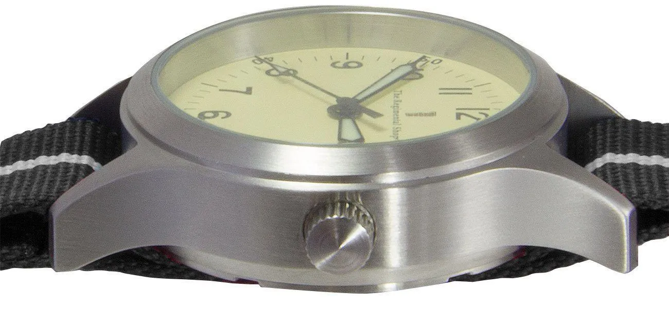 Royal Irish Regiment "Decade" Military Watch