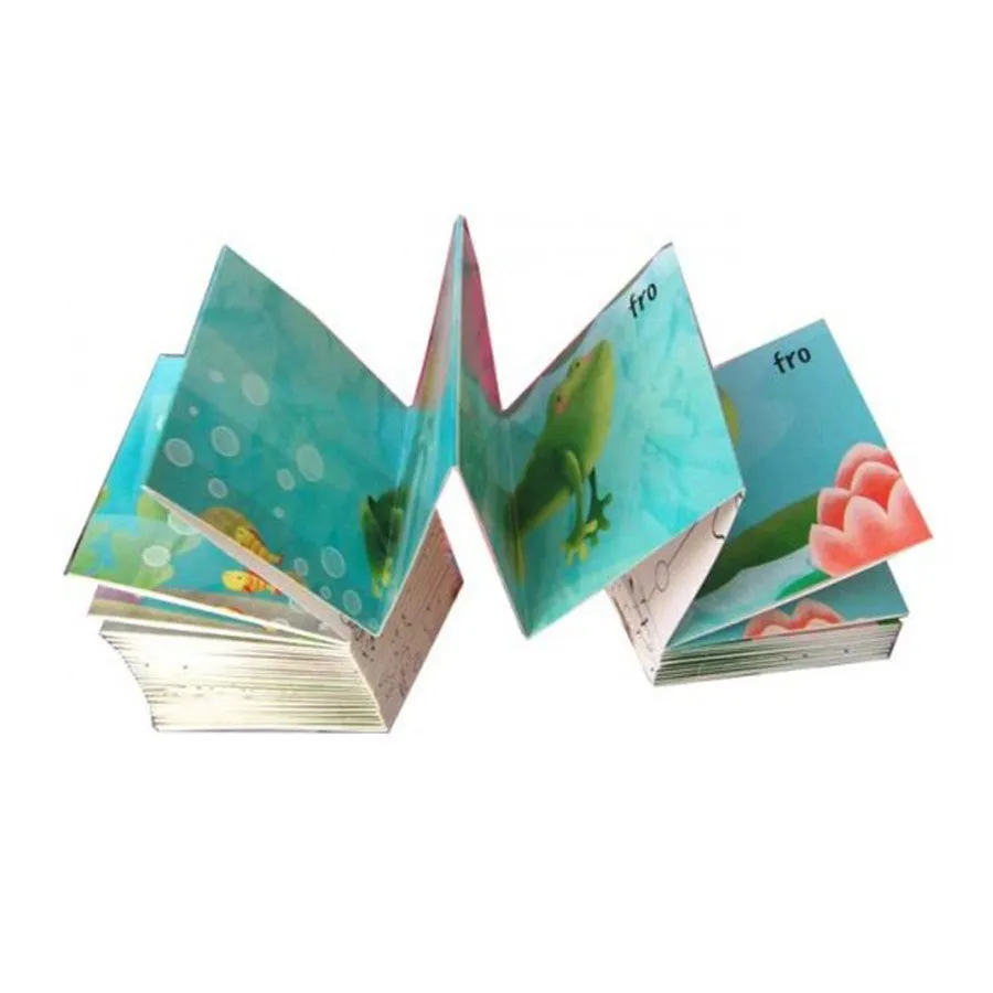 Slinky Flipbook: Frog<br> <span style="font-size: 11px; font-family:Helvetica,Arial,sans-serif;">Animation from Tadpole to Frog</span>
