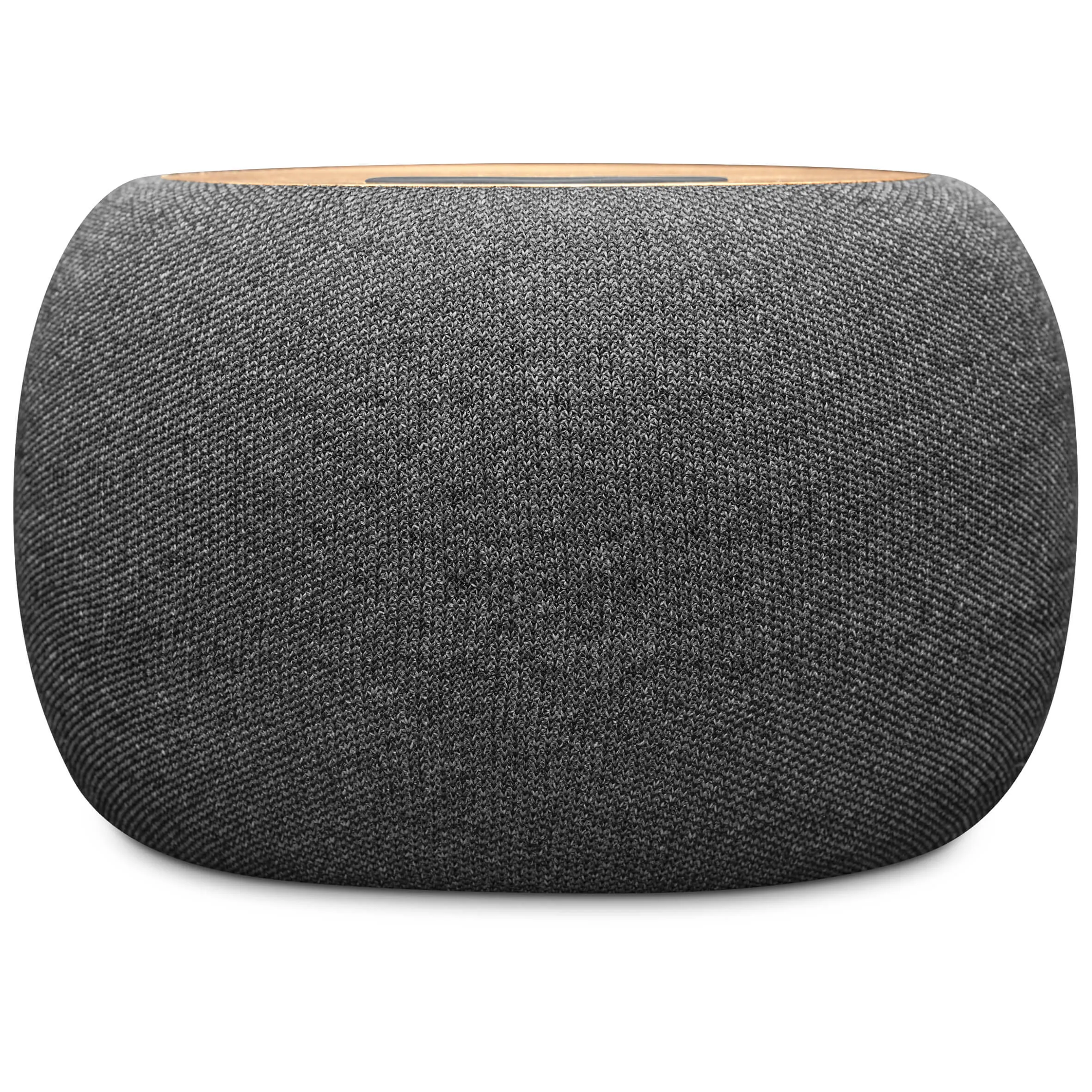 Swiss Cougar Geneva Wireless Charger & Speaker